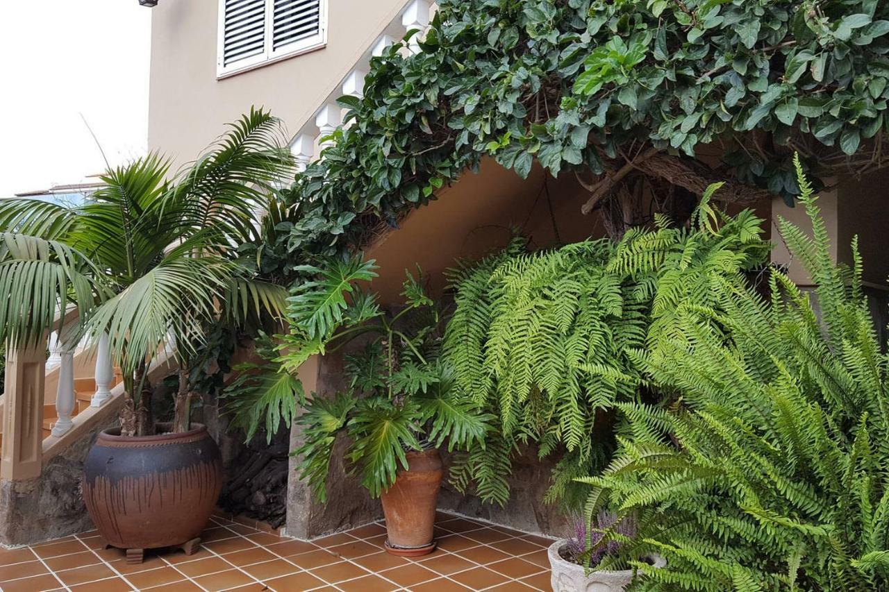 Orotava Garden House Perfect For Families Villa La Orotava Dış mekan fotoğraf